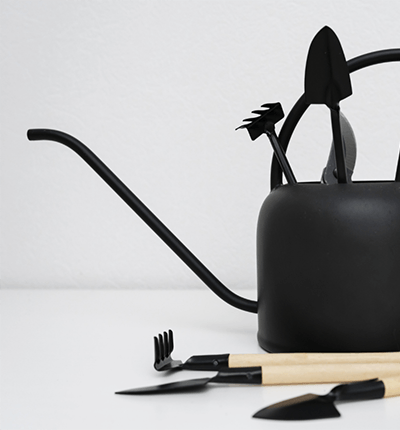 קטגוריה +לגינה