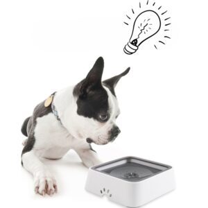 AntiSpill - קערת מים חכמה לחיות